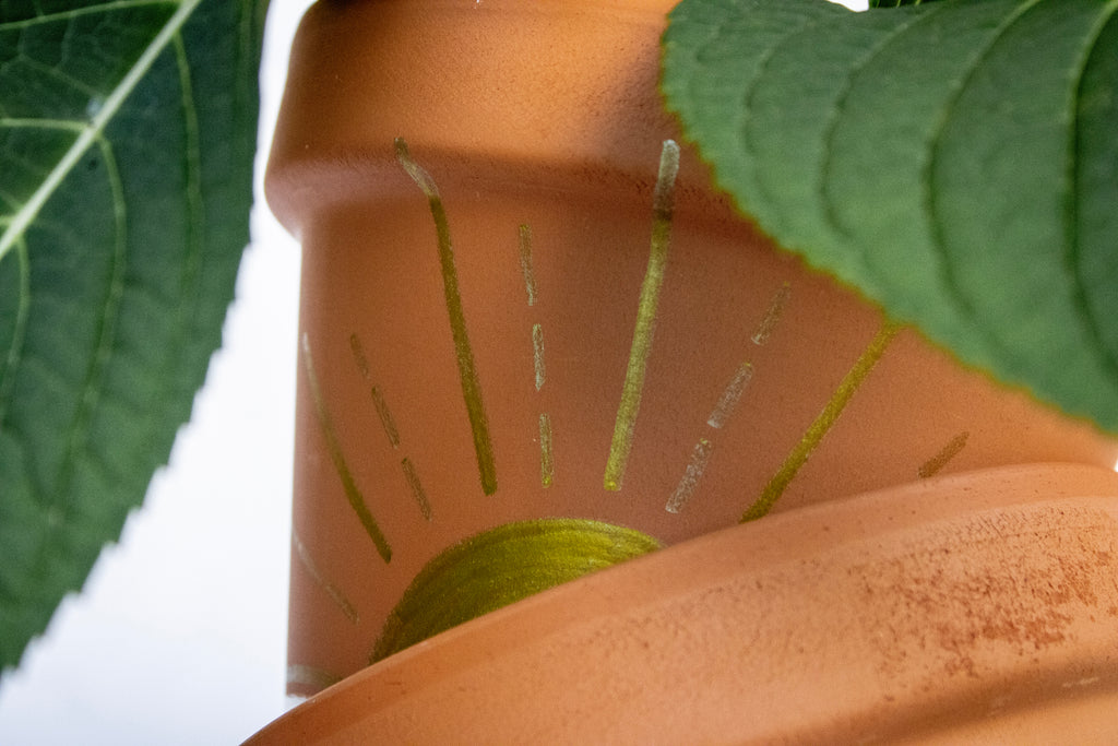 Sunrise Plant Pot