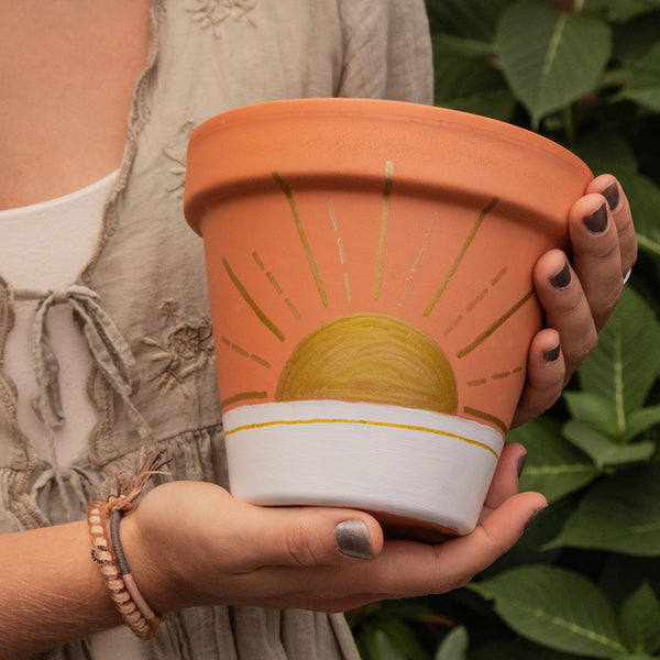 Sunrise Plant Pot